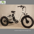 Hot Sale Adult 3 Wheel Electric Bicycle/ Lithium Battery Electric Tricycle Cargo
